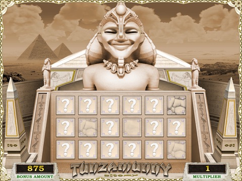 iPad Screenshot 5