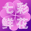 七彩鲜花HD版