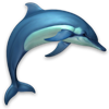 Dolphins 3D 앱 아이콘 이미지