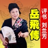 【评书】岳飞传