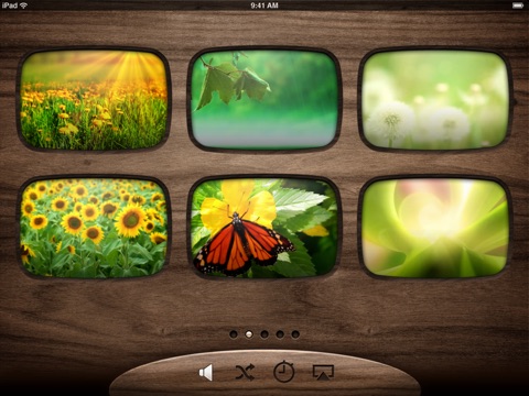 iPad Screenshot 1