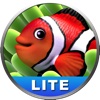 Aquarium Screensaver Lite fish aquarium screensaver 
