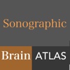 Sonographic Brain Atlas