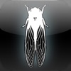 Dark Meadow (AppStore Link)