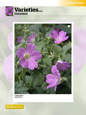iPad Screenshot 4