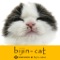bijin-cat