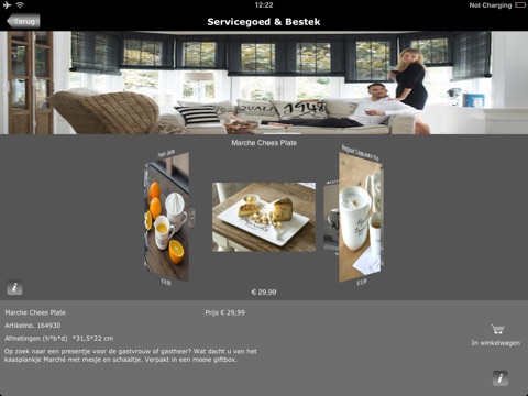iPad Screenshot 5