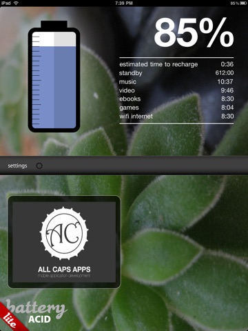 iPad Screenshot 2