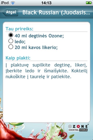 iPhone Screenshot 4