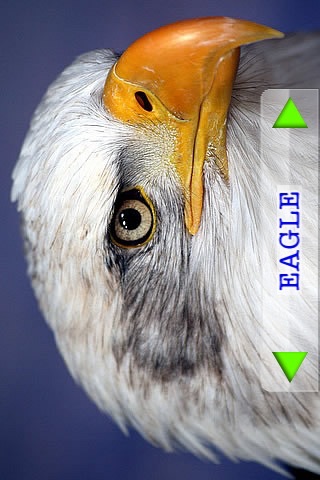 iPhone Screenshot 5