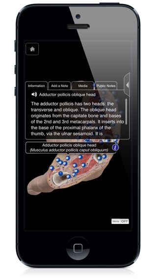 iPhone Screenshot 4