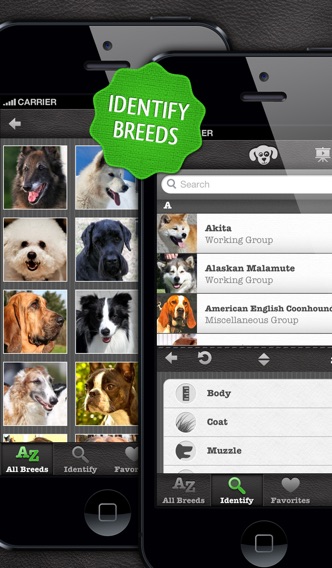 iPhone Screenshot 2