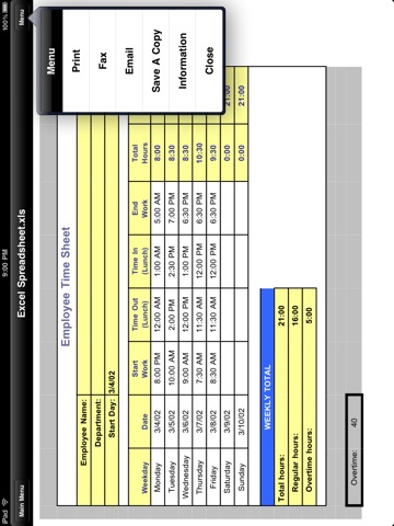 iPad Screenshot 5