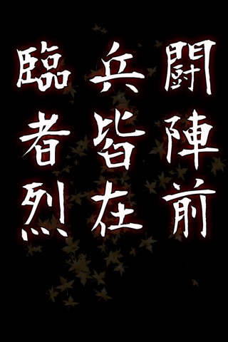 iPhone Screenshot 5