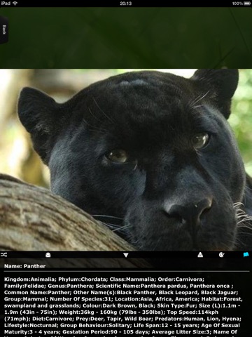 iPad Screenshot 3