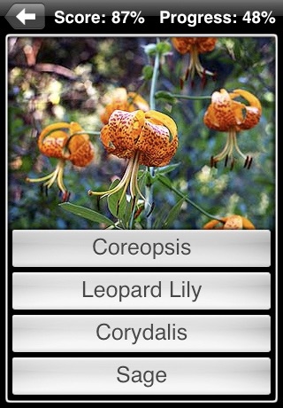 iPhone Screenshot 5