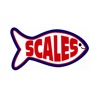 Scales Seafood fish seafood fresh 