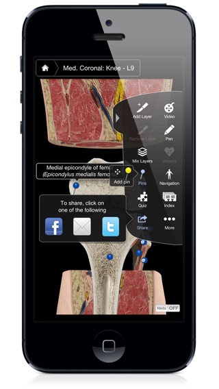 iPhone Screenshot 4