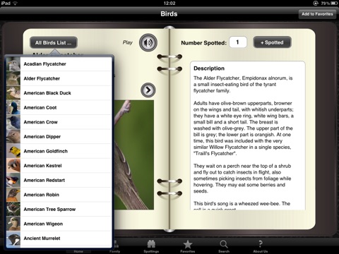 iPad Screenshot 2