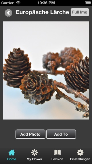 iPhone Screenshot 3