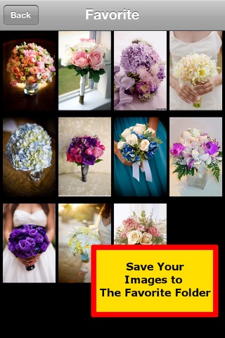 Wedding and Flower Bo... screenshot1