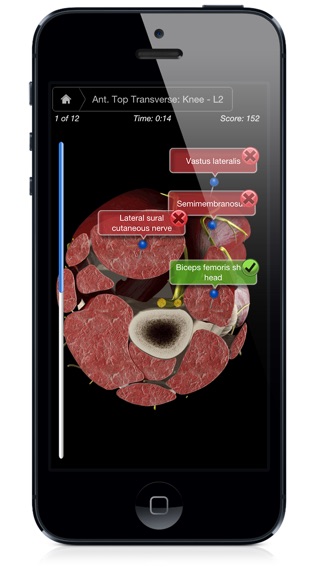 iPhone Screenshot 3