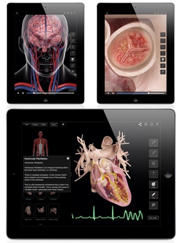 iPad Screenshot 3
