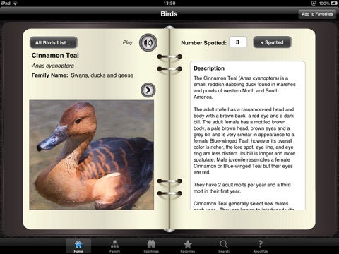 iPad Screenshot 1