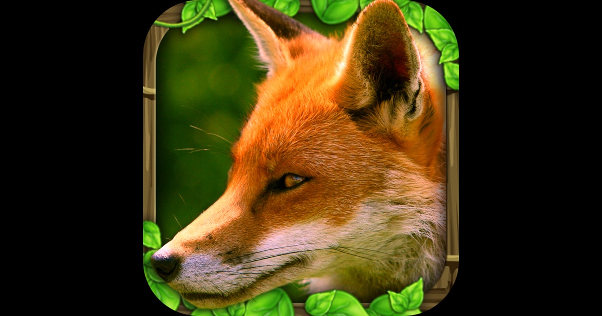 Fox Simulator：在 Mac App Store 上的内容