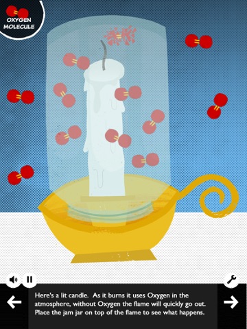iPad Screenshot 4