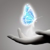 Illusion Hand Free 幻象之手免費版 - IllusionHand , add a splash of color to your photos !