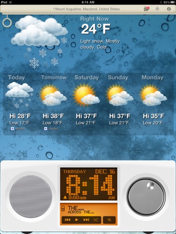 iPad Screenshot 4