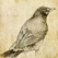 Sketches Master Pro - Pencil Foto Avatar Drawing & Photo Camera