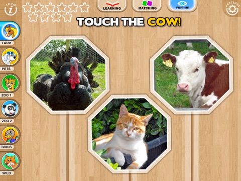 iPad Screenshot 5