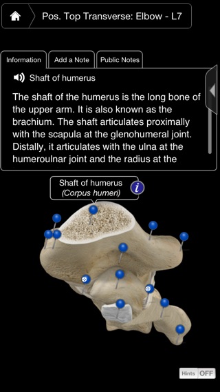 iPhone Screenshot 4