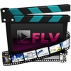 FLV-Converter player for flv
