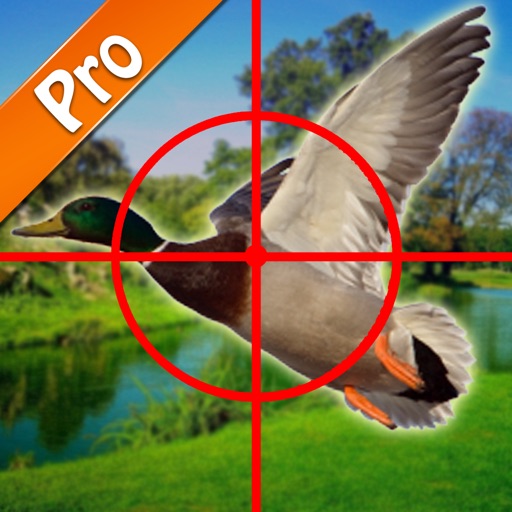 Duck Hunting pro free gamer for master hunters.