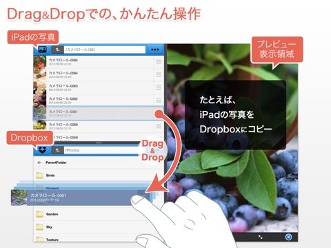 BoxCrane for iPad - FileCrane for Dropboxのおすすめ画像1