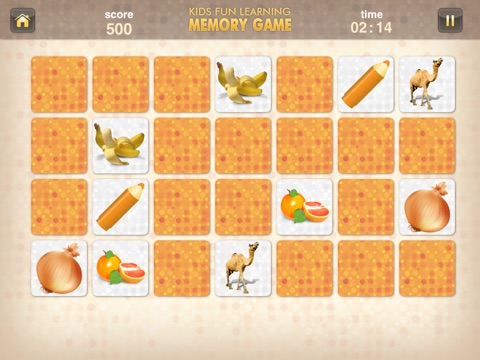 iPad Screenshot 5