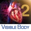 3D Heart & Circulatory Premium 2