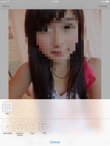 iPad Screenshot 2