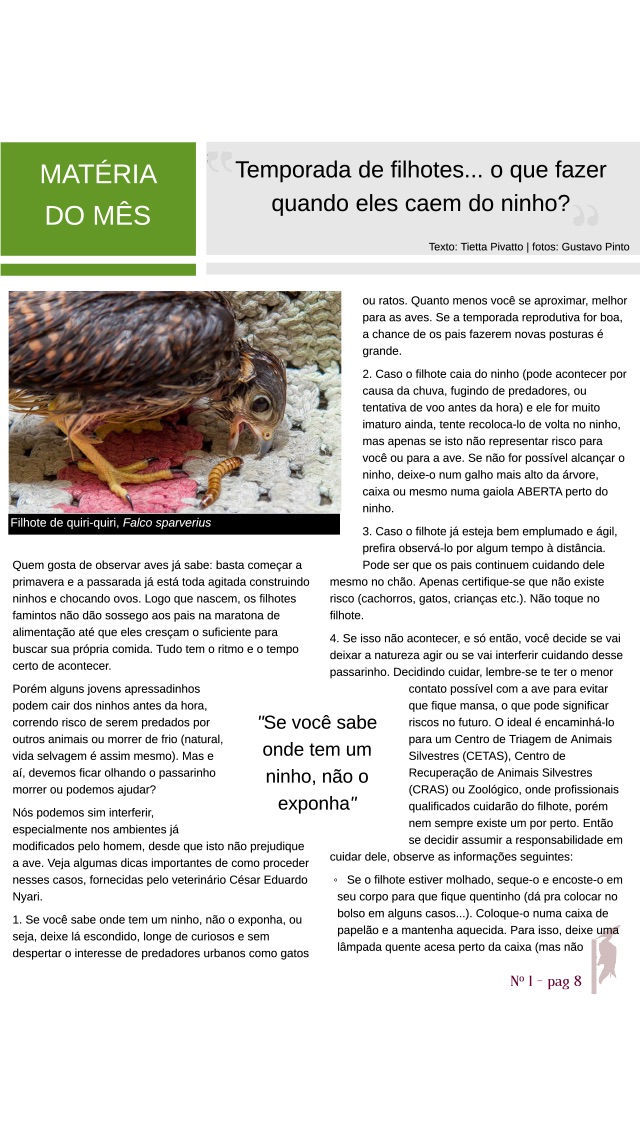 Revista Passarinhando screenshot1