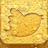 no app image