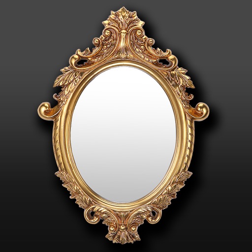 Pocket Mirror Pro - Photo Editor to put on make up & check your teeth, eyes, hairstyle