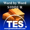 Hebrew Siddur Reader english to hebrew translation