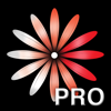 Pro Active App - WomanLog Pro カレンダー アートワーク