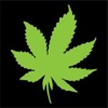 WeedMoji - By BuddFeed