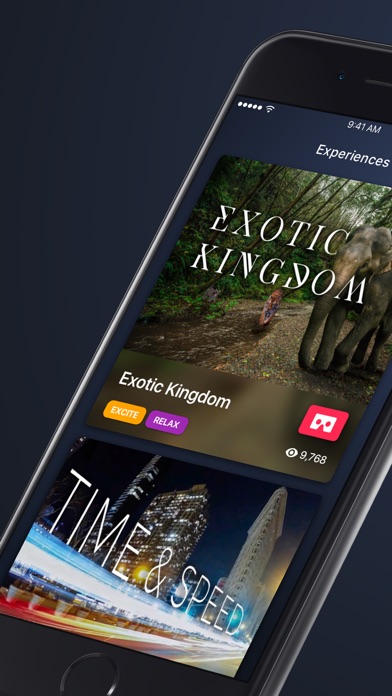 iPhone Screenshot 1