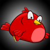 Salih Adiguzel - Bomber Bird artwork
