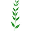 Bambou plantes Sticker Pack